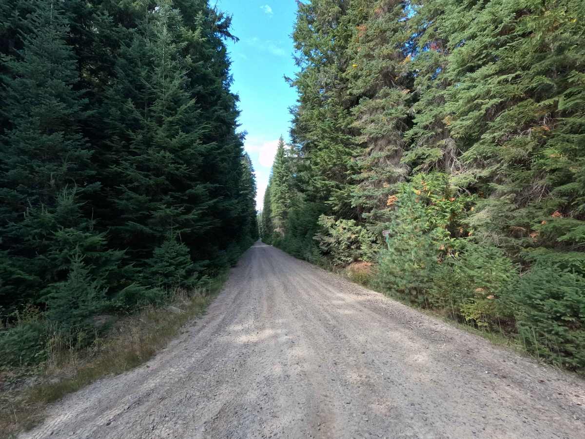 Upper West Branch - FS 1102 trail photo