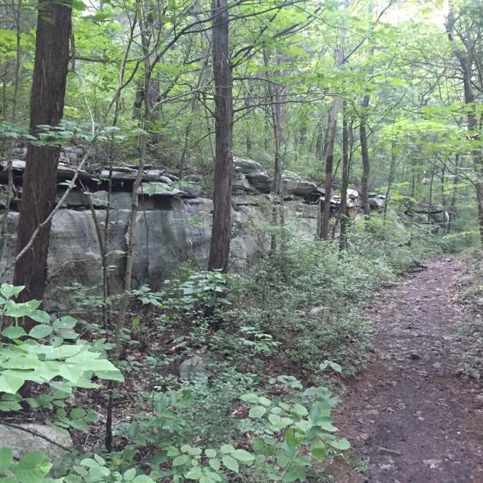 Near Old Railroad Bed to Alms House