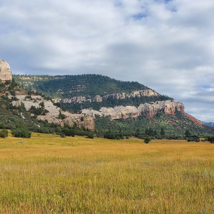 Near South Meadow