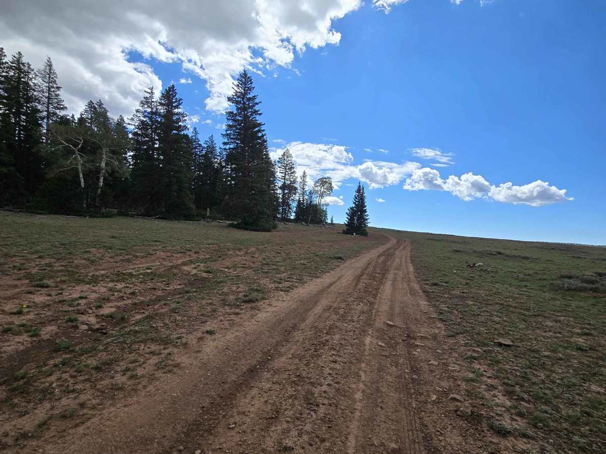 Round About trail photo