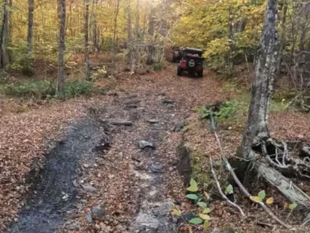 Colby Pond Trail photo 5