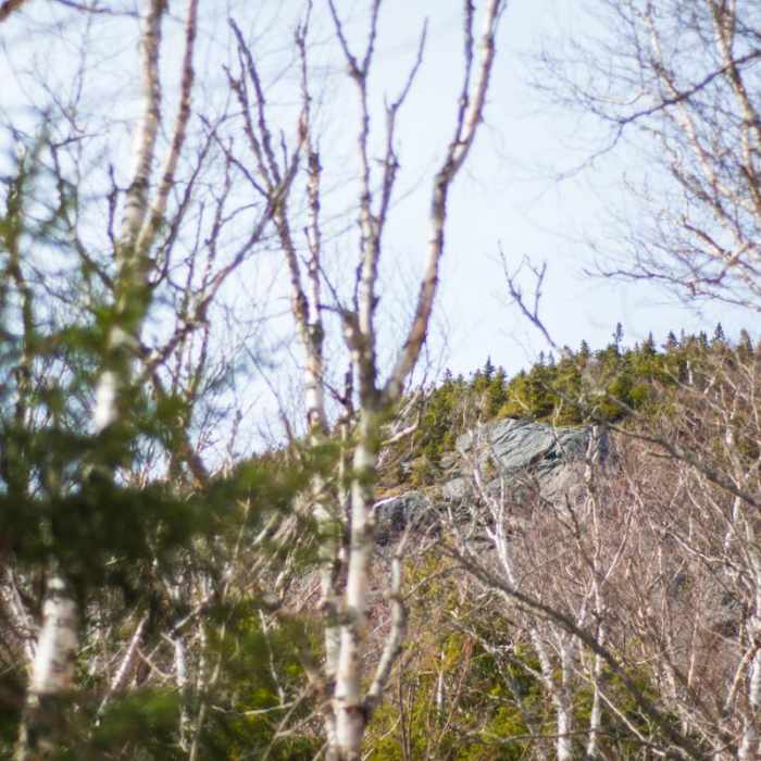 Near Camels Hump Via the Monroe Trail Near Camels Hump Via the Monroe Trail