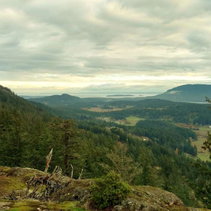 Near Tour of Turtleback Mountain Preserve