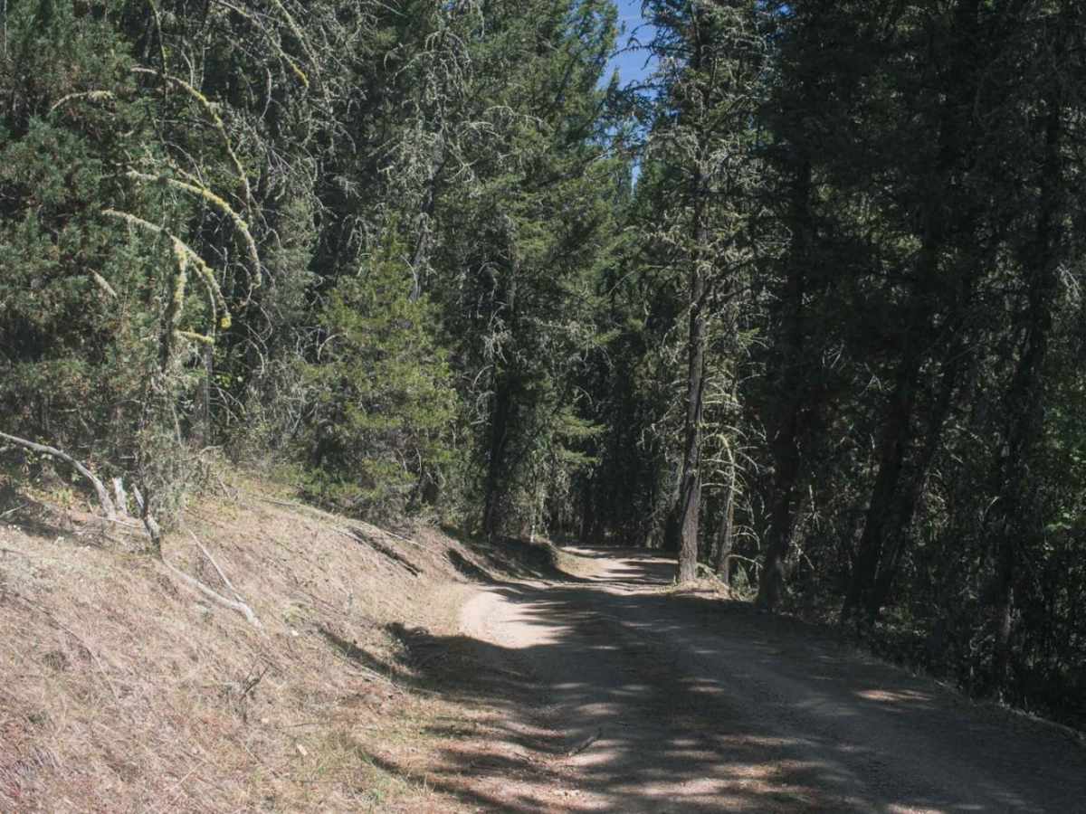 Smart Creek photo 5