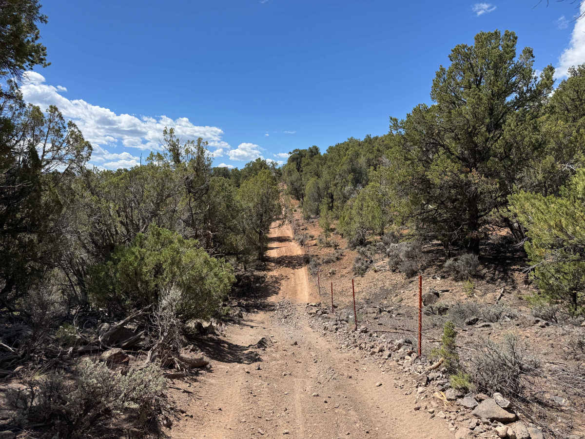 BLM 8468 photo 6