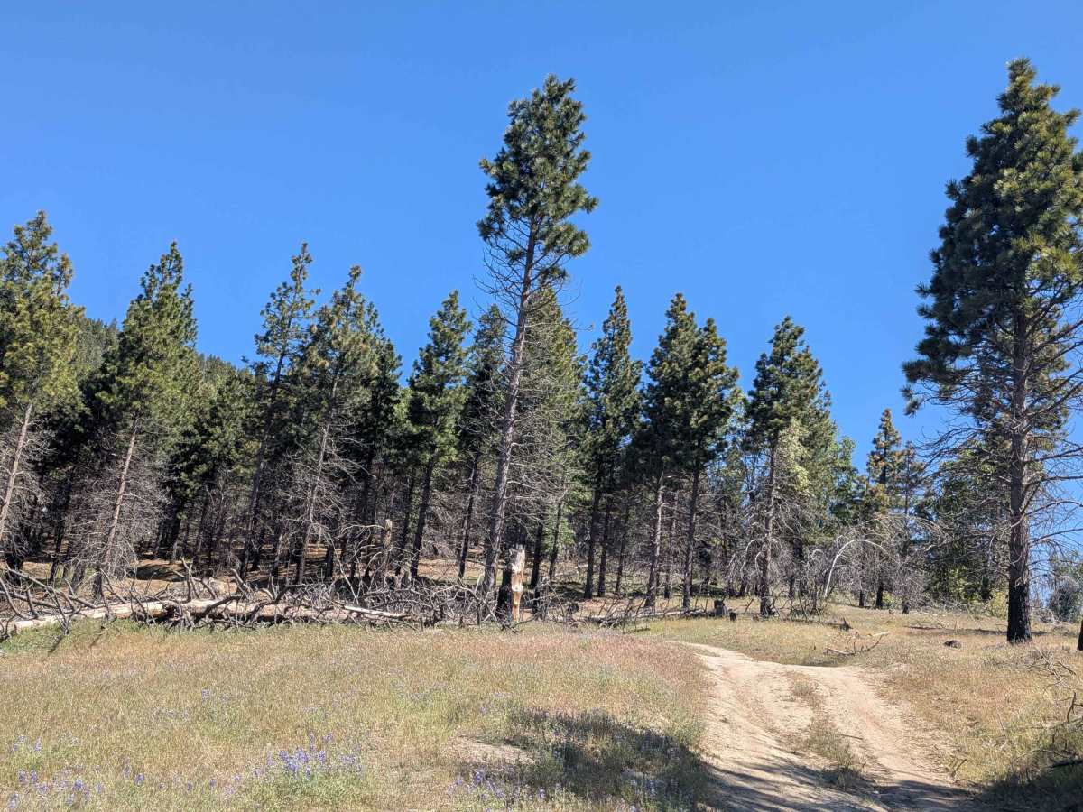 Little Poso Creek - FS 26S12 photo 3
