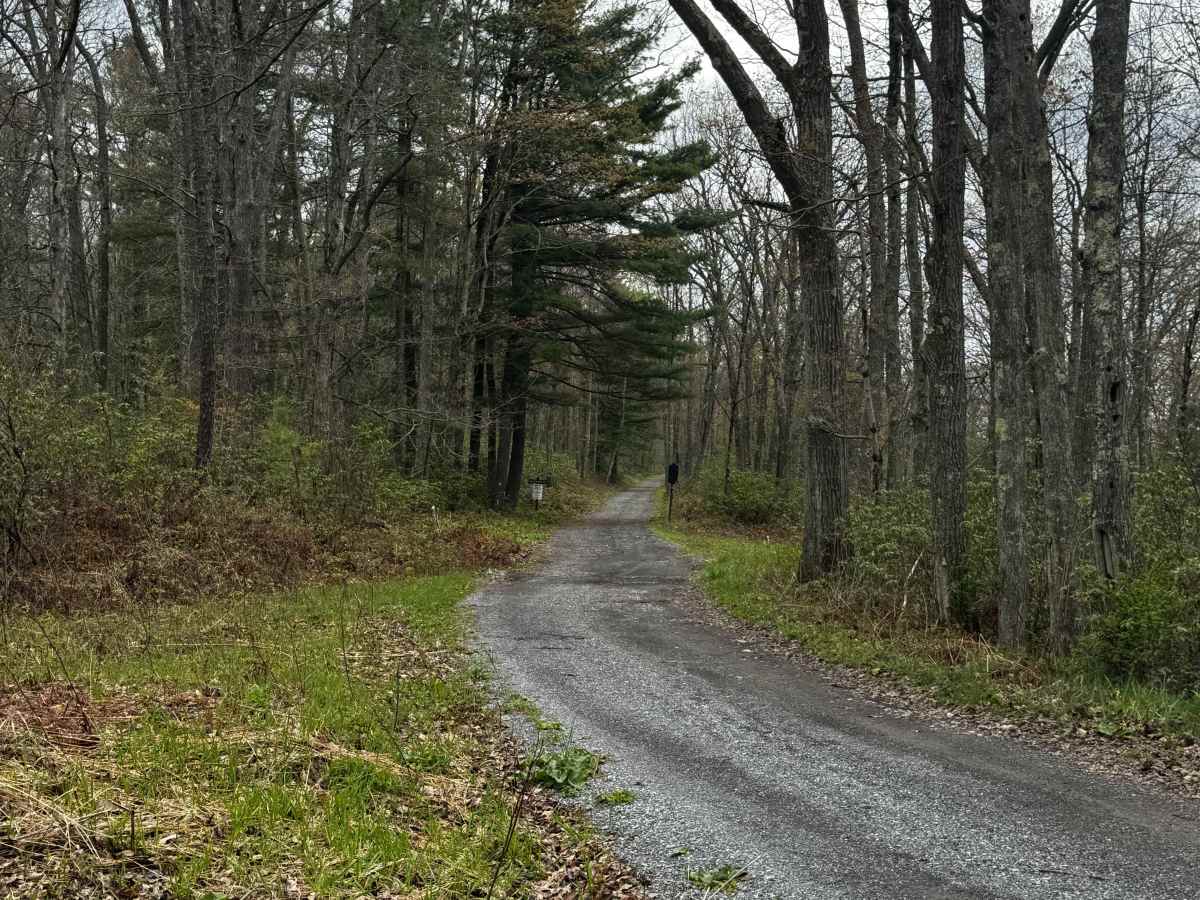 Old Grade Trail photo 2