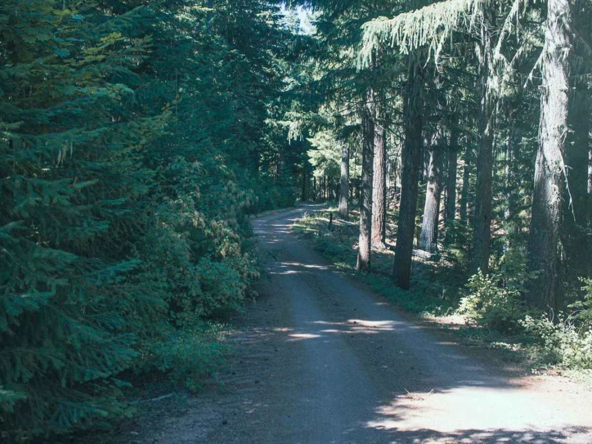 Calf Ridge photo 6