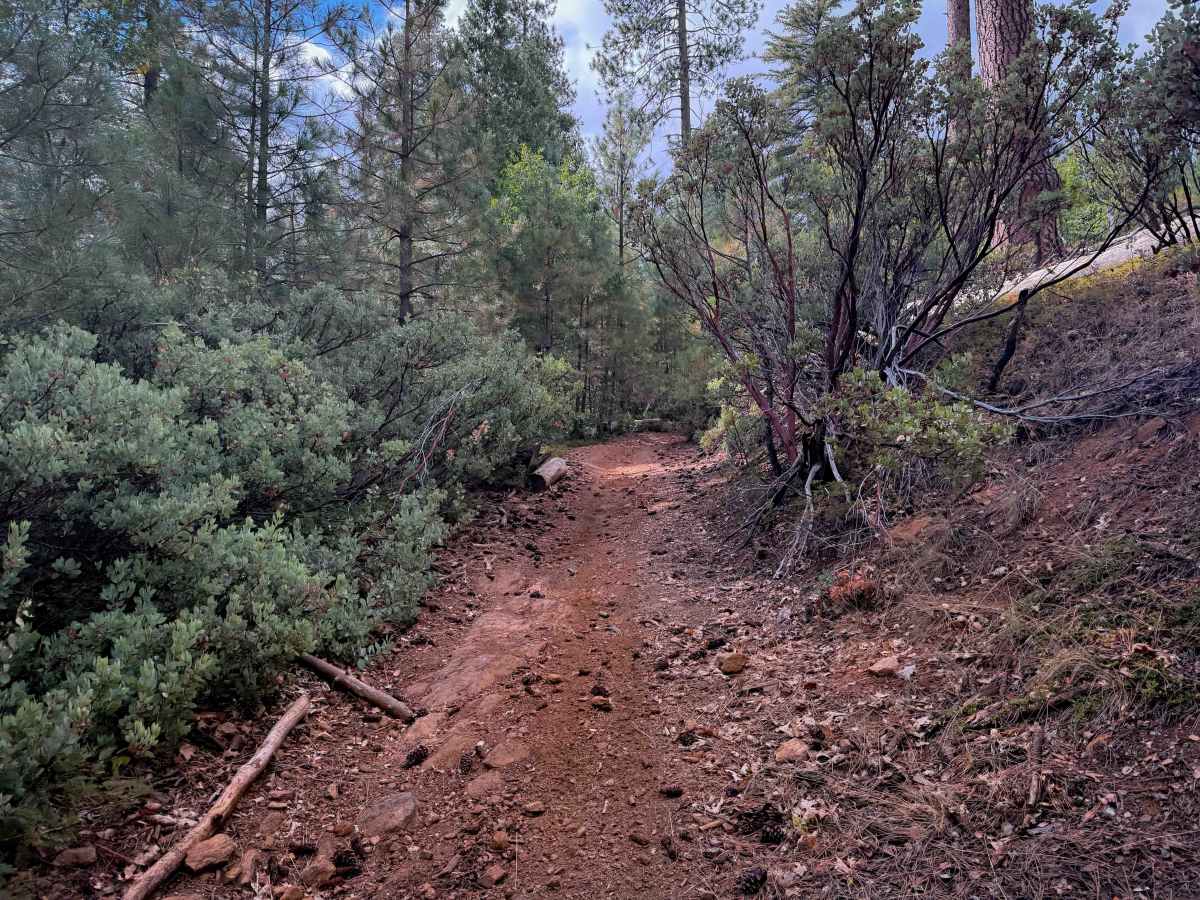 15EV109 trail photo
