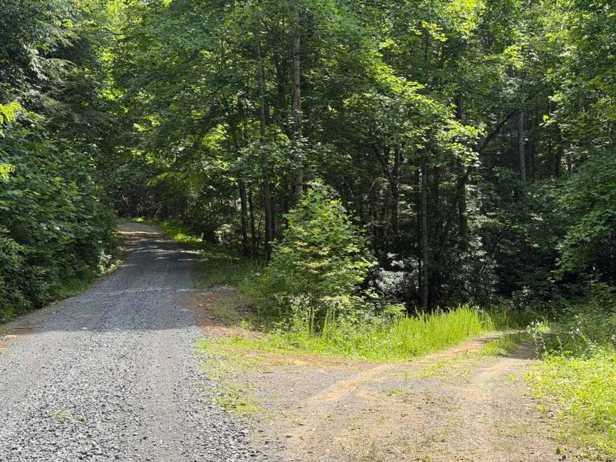 Baker Branch - FS 614 photo 6