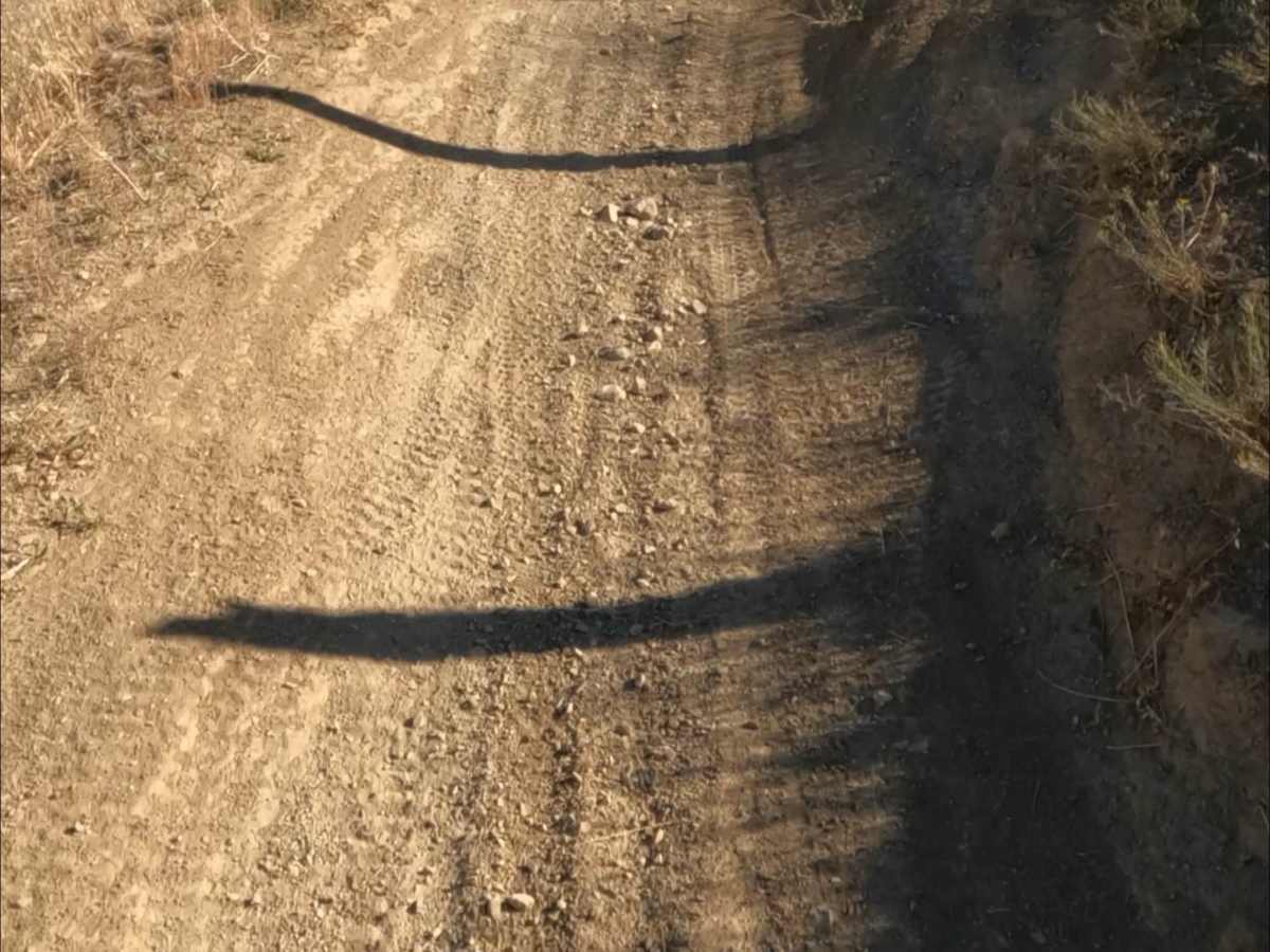 Sri Loop photo 5