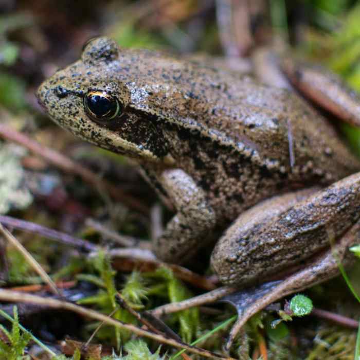 Near Riverside Trail Hike