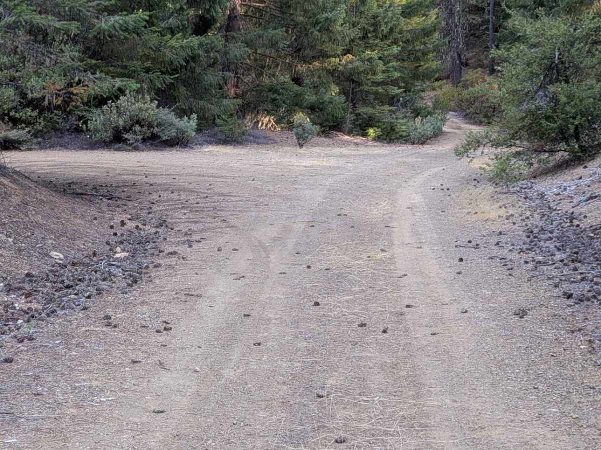 Ponder Road - FS 1N25 photo 5