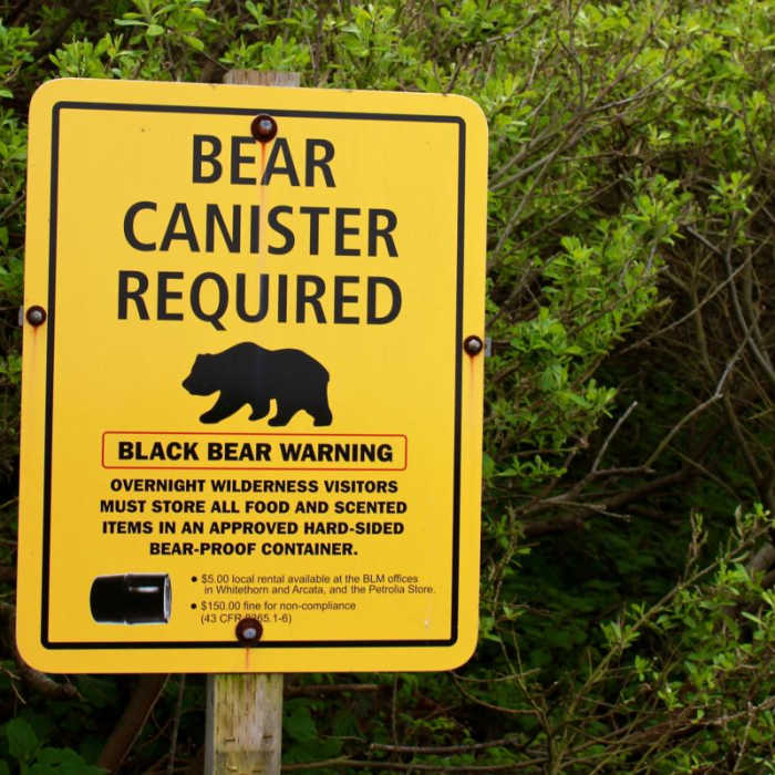 Near The Lost Coast Trail