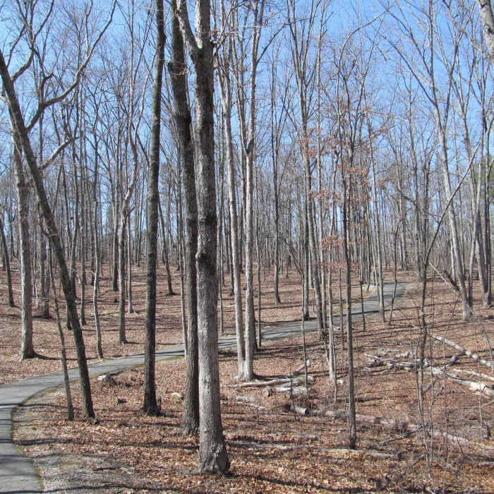 "Kings Mountain National Military Park - South Carolina" by Doug Kerr (https://tinyurl.com/umu9c2d), Flickr licensed under CC BY-SA 2.0 (https://creativecommons.org/licenses/by-sa/2.0/). Near King Mountain National Recreation Trail Loop
