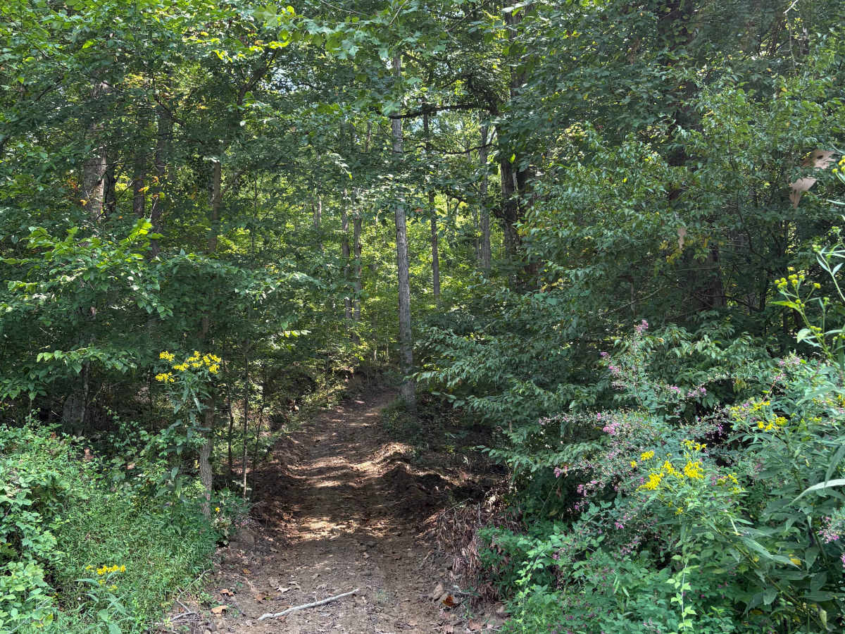 Trail 1 photo 6