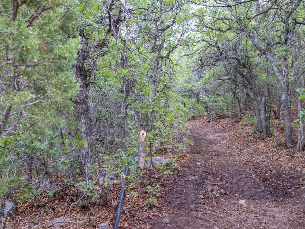 Teah Flat Trail photo 5