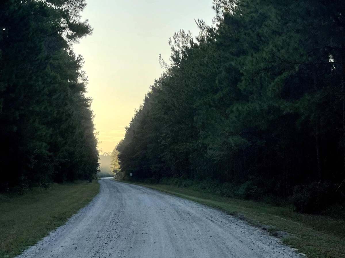State Route 1553 photo 5