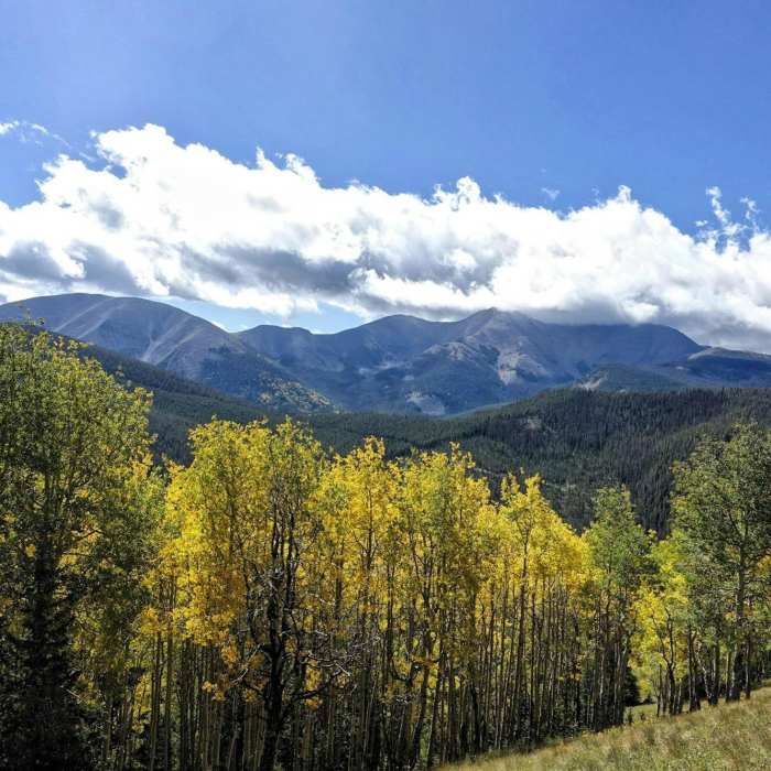 Near Starvation Creek Out-and-Back