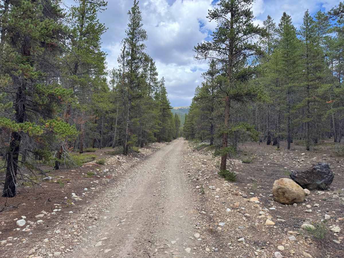 Lake County Road 3a trail photo