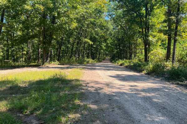Piney Ridge
