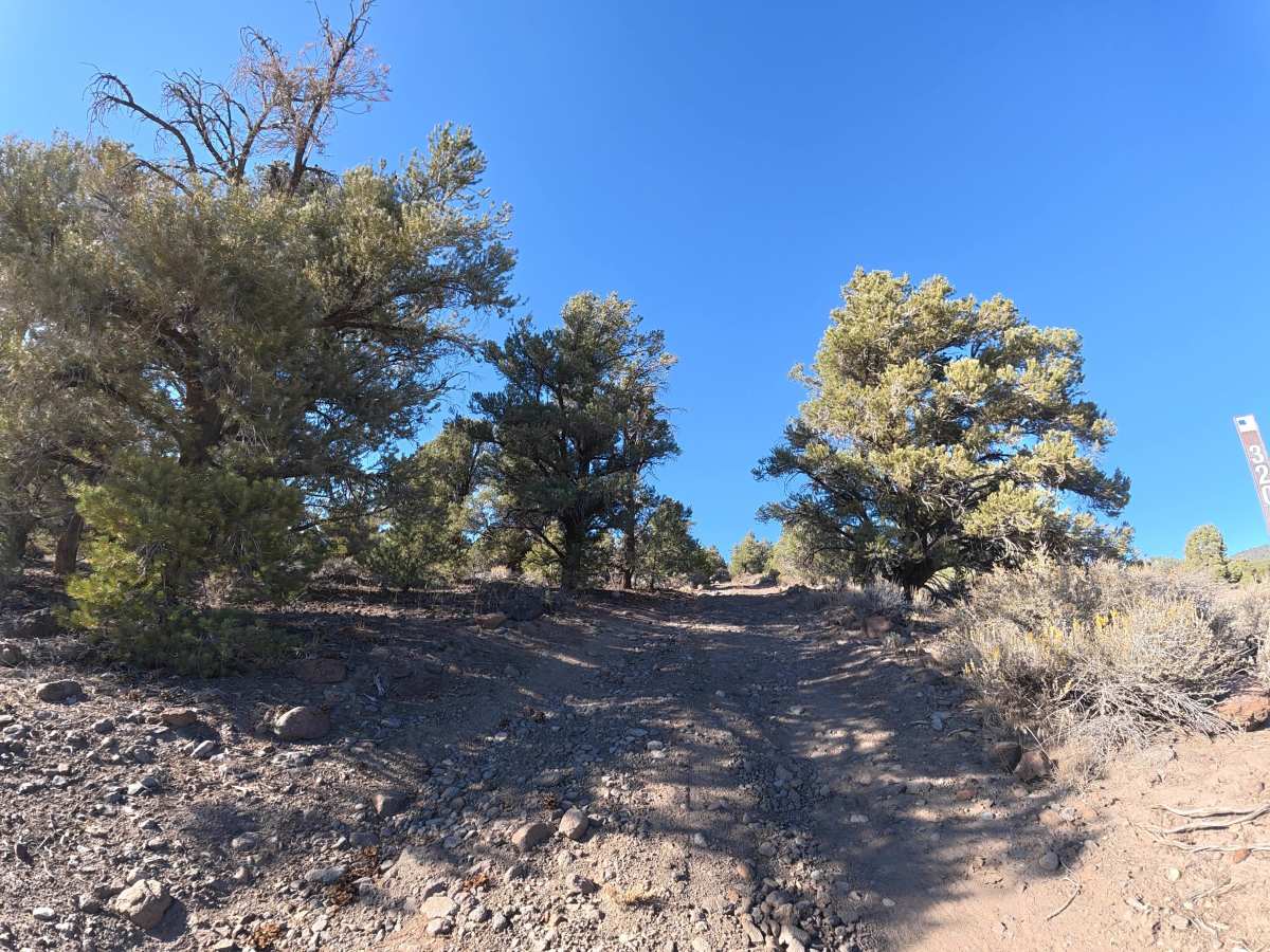 Loop Road K trail photo