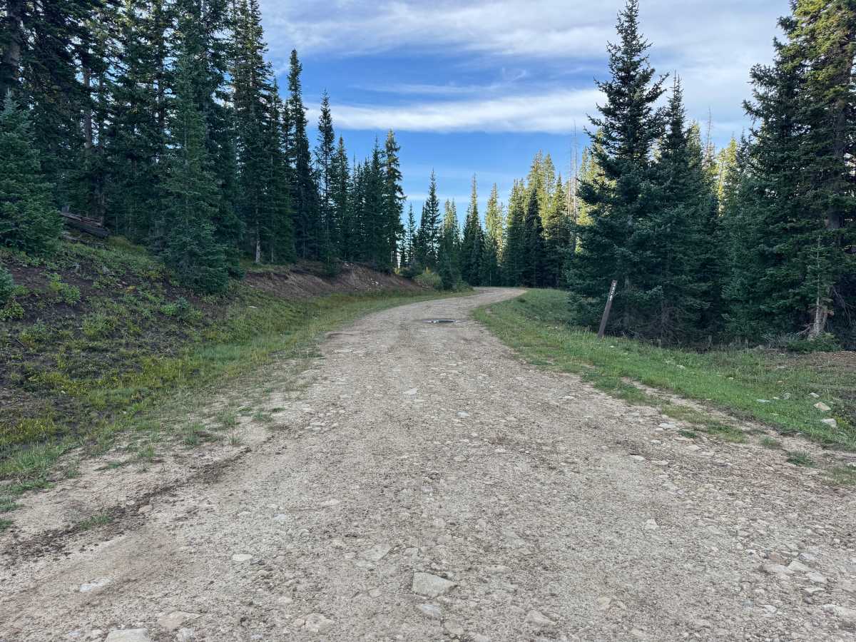Shoas Park Road trail photo