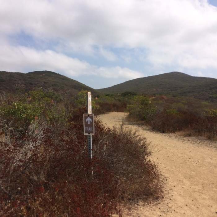 Near Nighthawk Trail