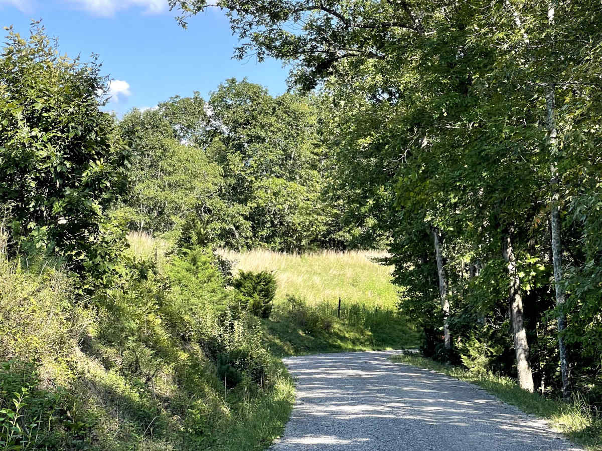 Route 612 trail photo