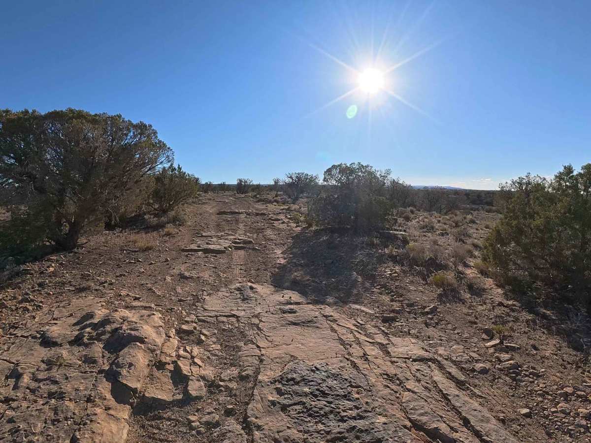 74 Road trail photo