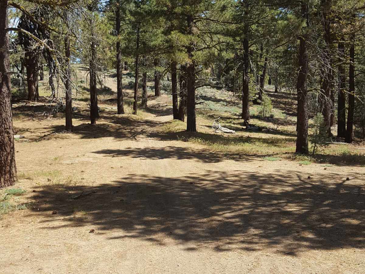 Whata OHV - FS 20W25 photo 3