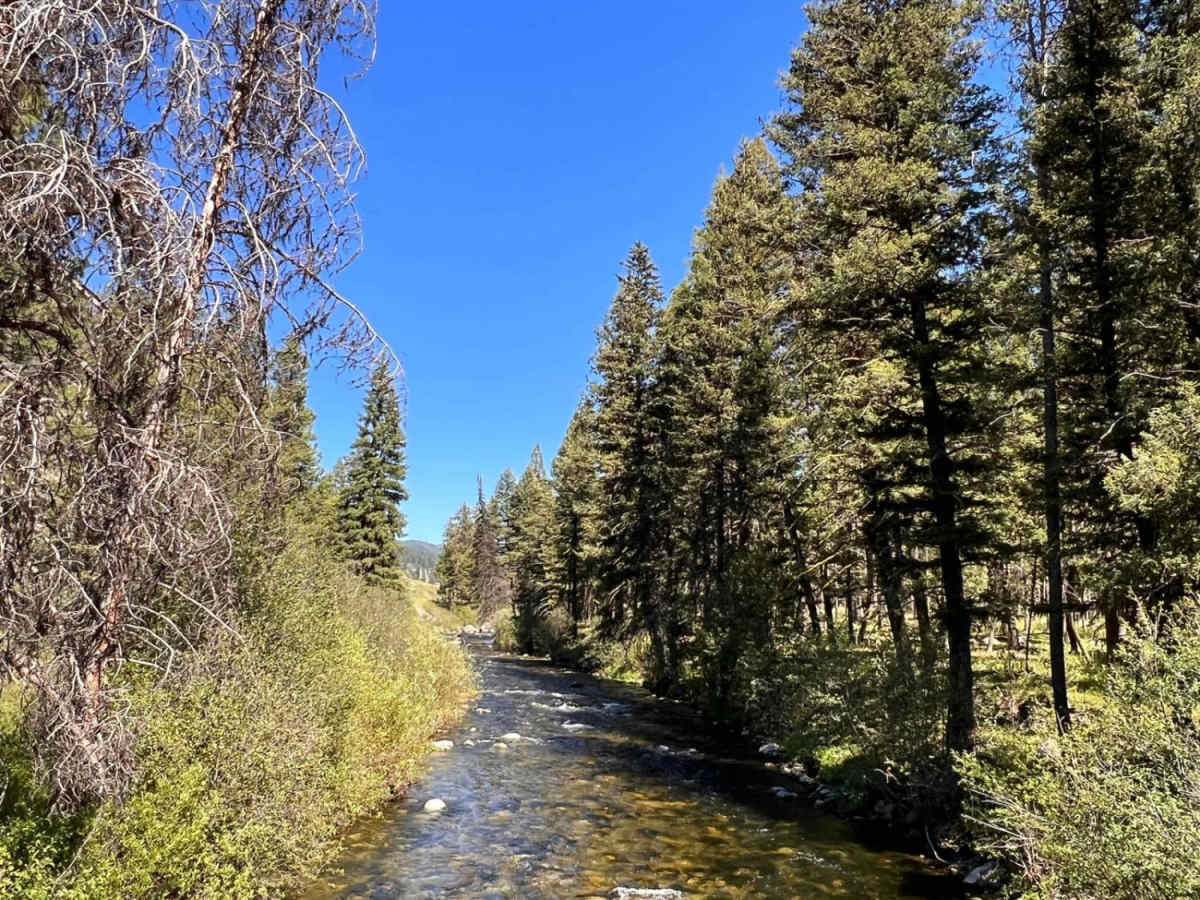 Swift Creek Trailhead trail photo