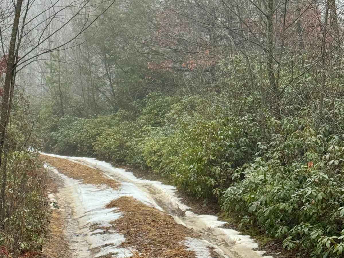 Eagleton Run Blue Trail photo 5