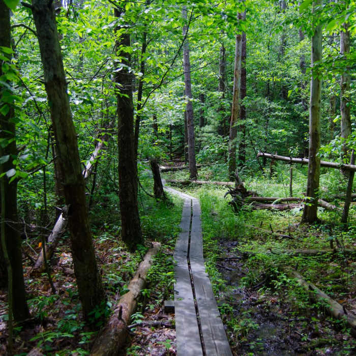 Near Christman Sanctuary