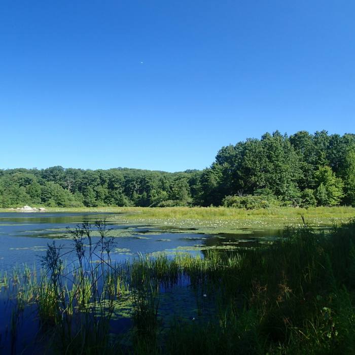 Near Three Lakes Trail - Appalachian Trail Loop