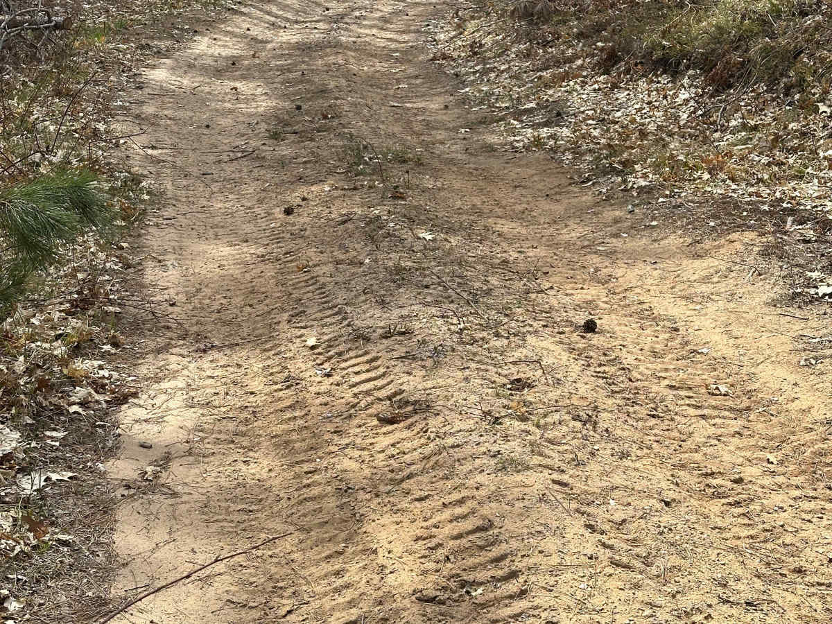 Pipeline Loop photo 2