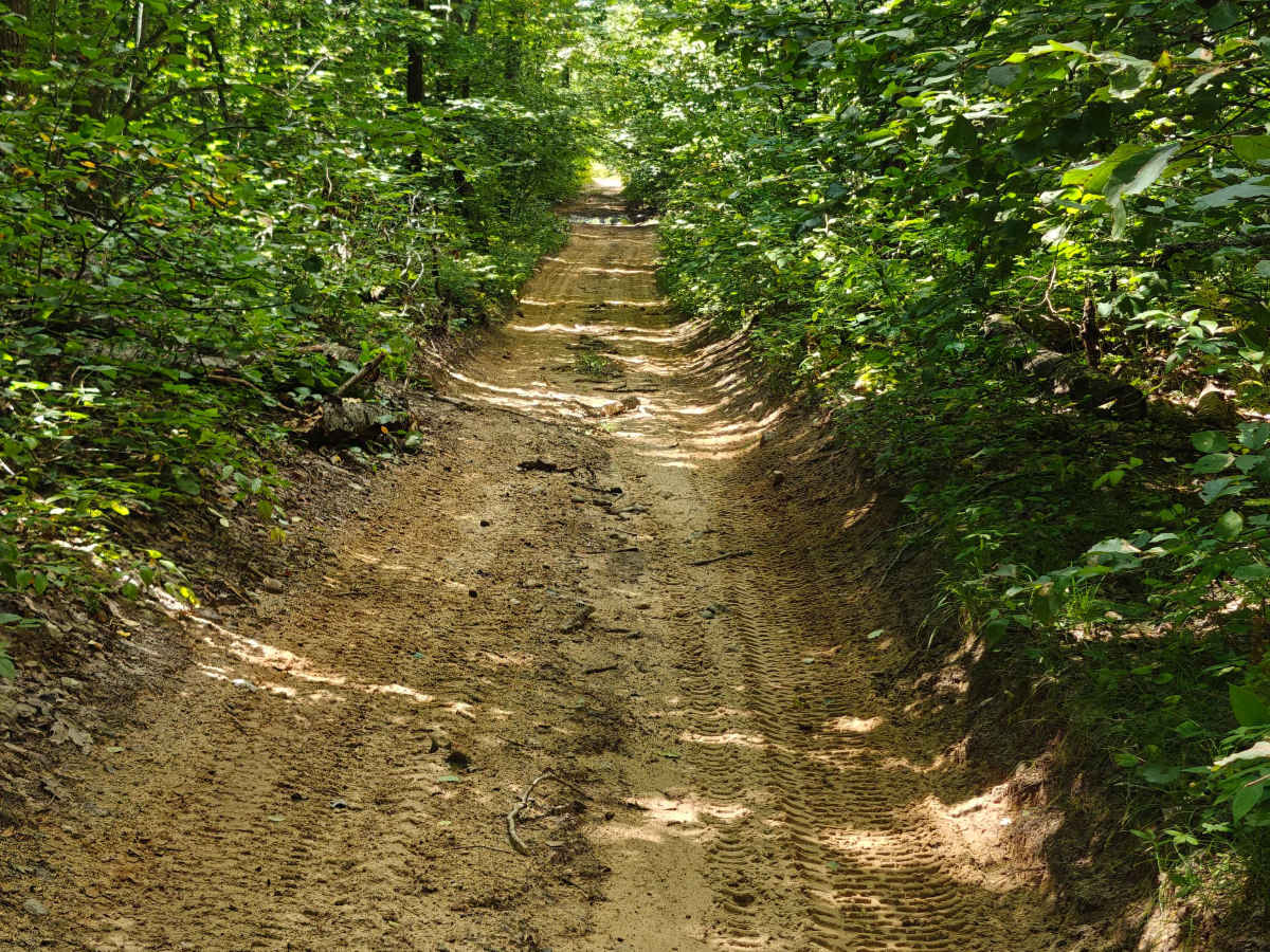 Timreck Track photo 6