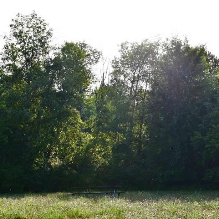 Lamoreaux Park" courtesy of Kent County Parks Department. Near Lamoreaux Loop