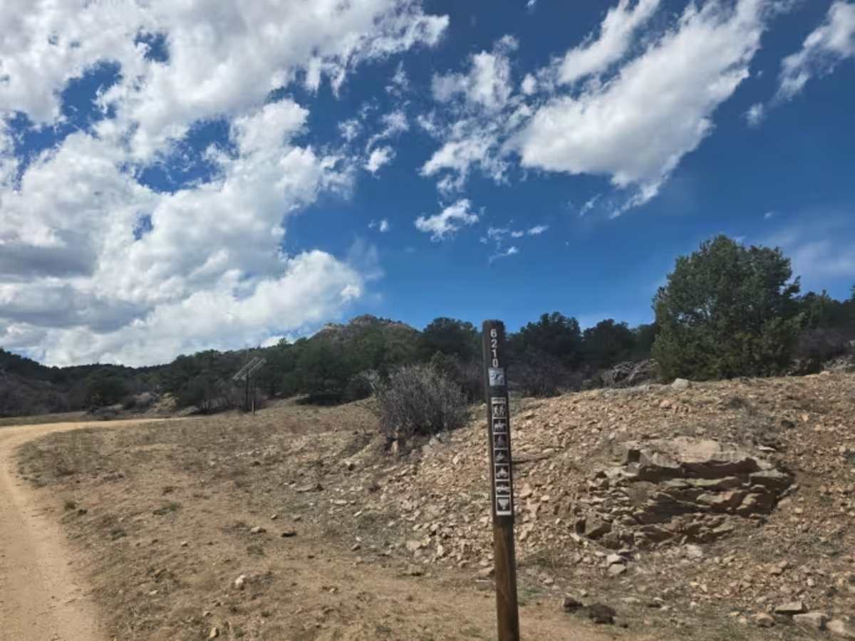 BLM 6210 photo 2