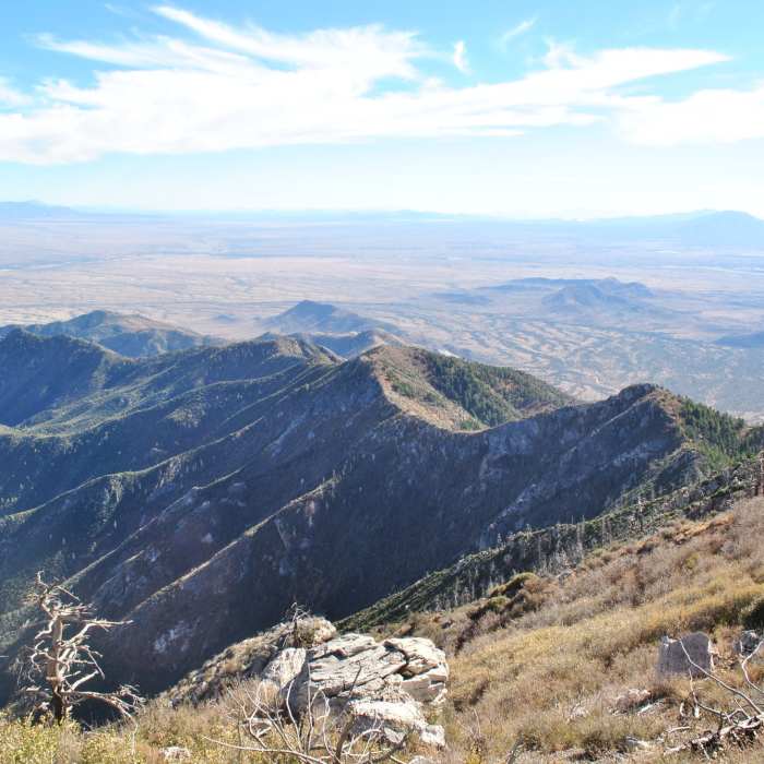 Near Miller Peak via Crest Trail #103