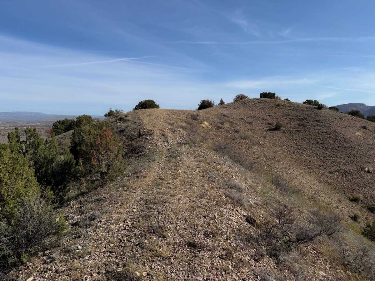 950 trail photo