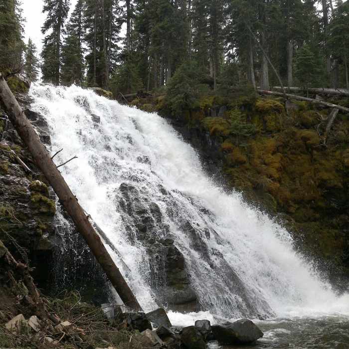 Quick waterfall view just off of Hyalite Creek Trail. Called Grotto Falls (maybe a 0.25 mile hike off the trail, via a small side trail) Near Grotto Falls Trail