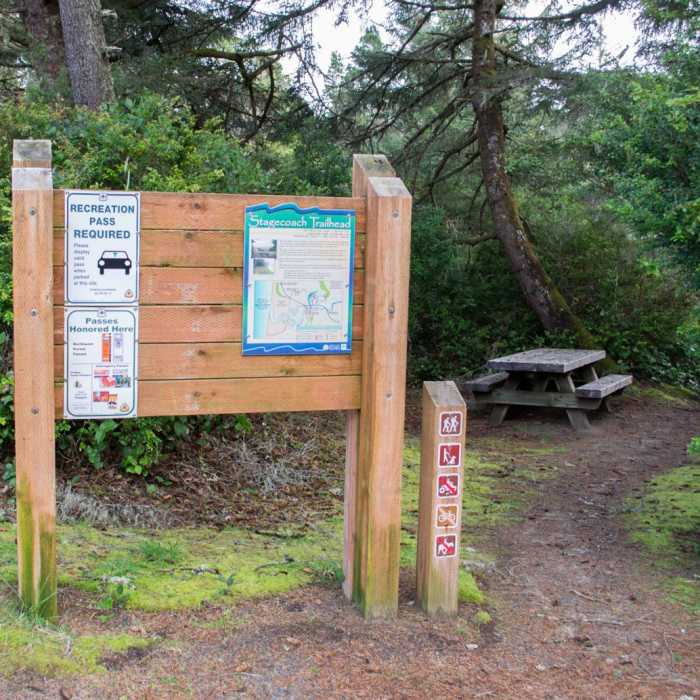 Near Chief Tsiltcoos Trail