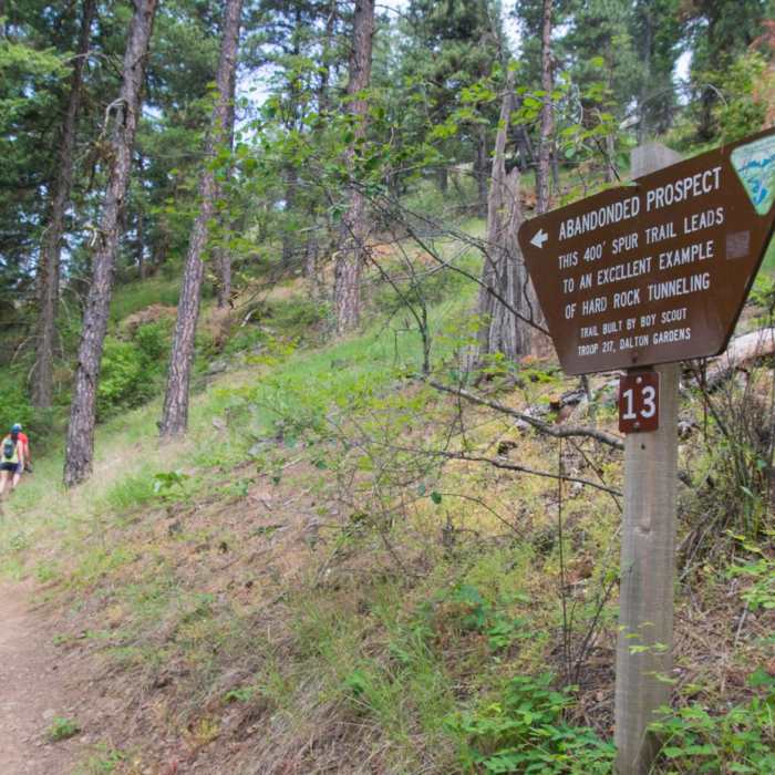 Near Mineral Ridge National Recreation Trail