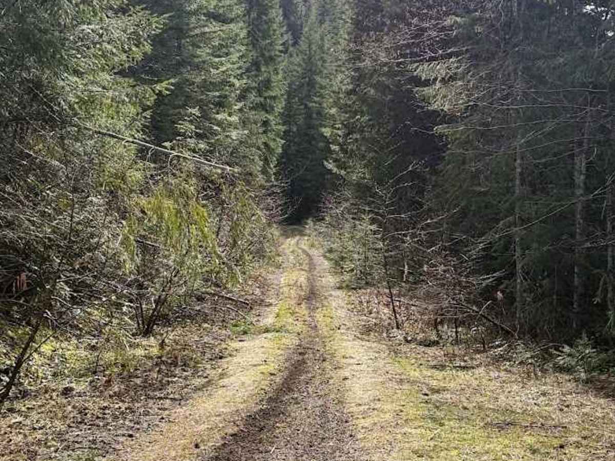 FS 2341 Upper photo 5