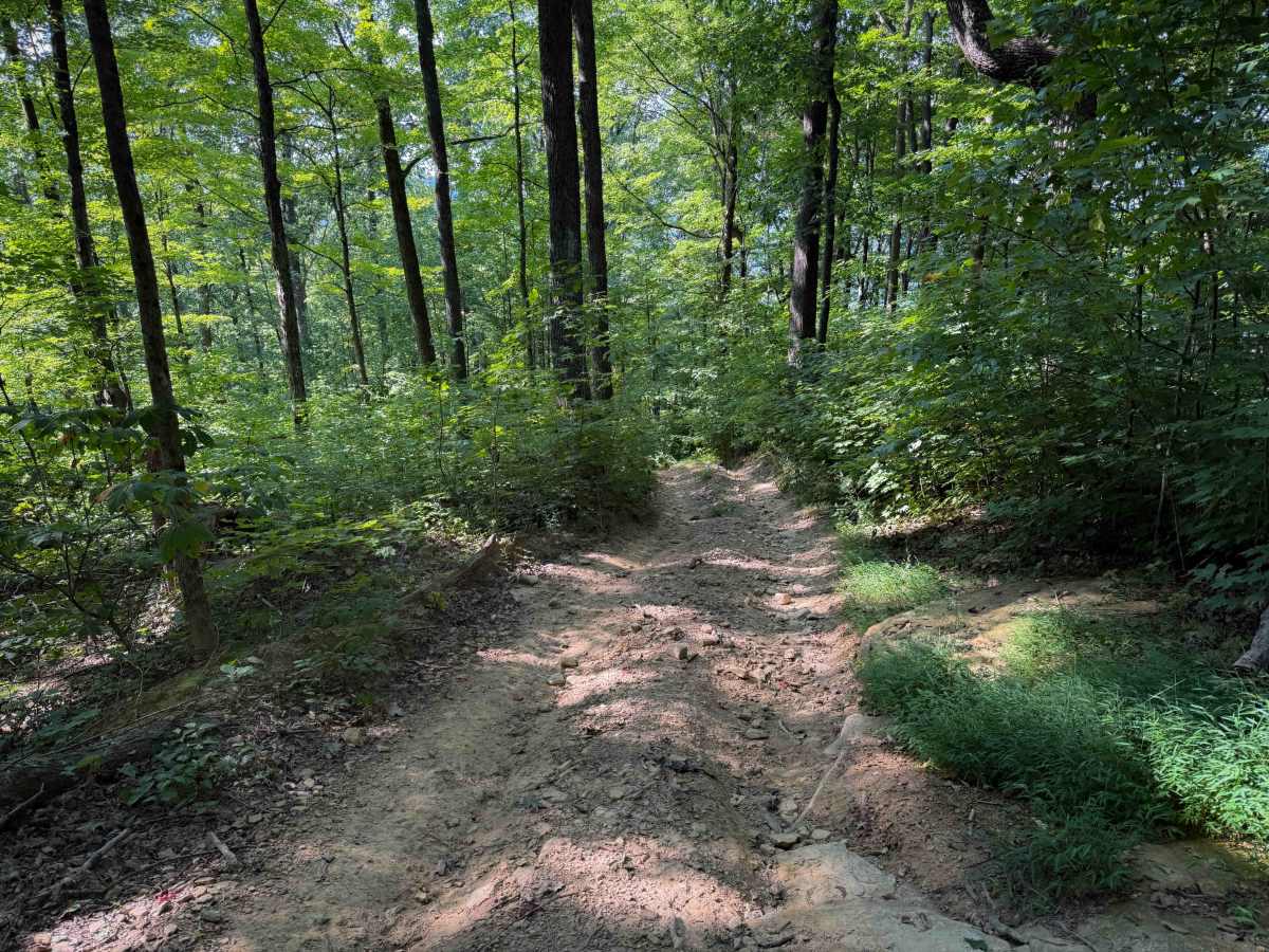 Rocky Branch Trail 23 photo 5