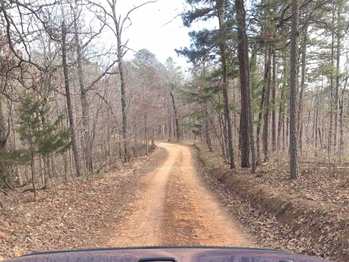 Beach Grove Trail photo 3
