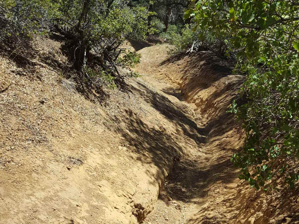 Tejon Trail - 19W03 photo 5