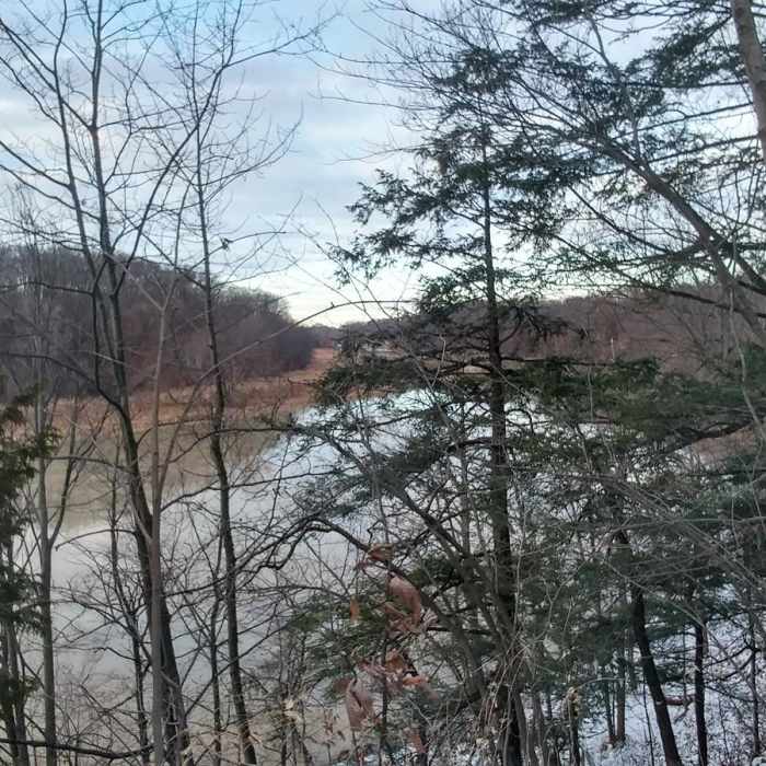 Near Genesee Riverway Trail at Seneca Park