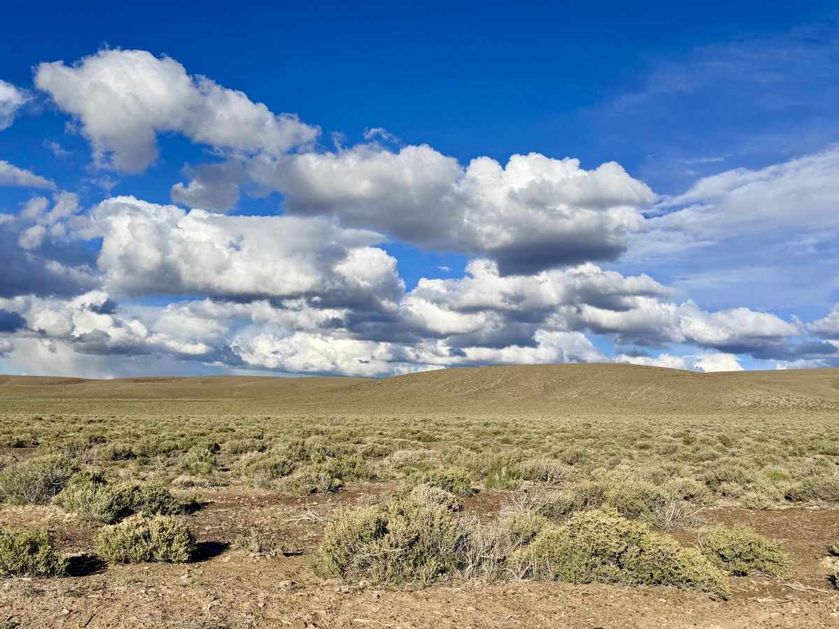 South Hot Springs Rd - BLM 206 photo 3
